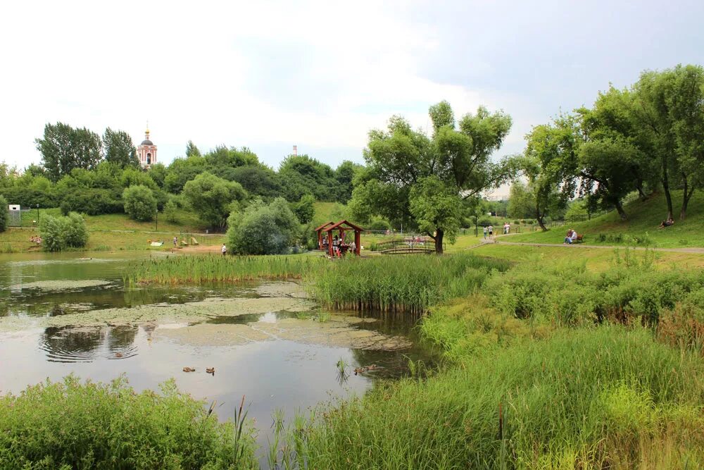 Покровский парк москва фото Уточки в Покровском Парке: townsman - ЖЖ