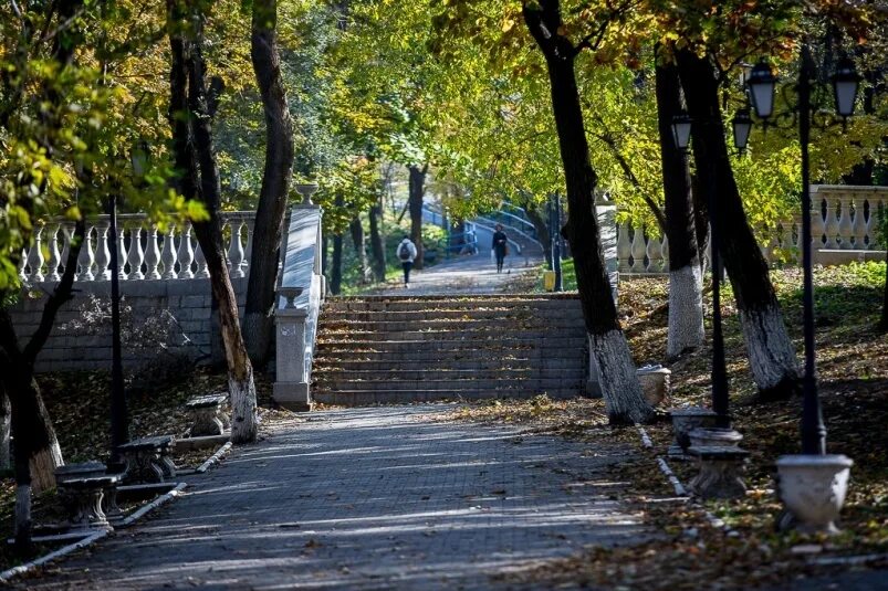 Покровский парк владивосток фото Ученики архитектурного класса Университетской школы ДВФУ разработают проекты бла