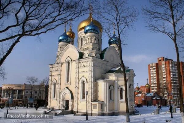 Покровский парк владивосток фото Магнитик с видом г.Владивостока в дар (Киров (Кировская обл.)). Дарудар