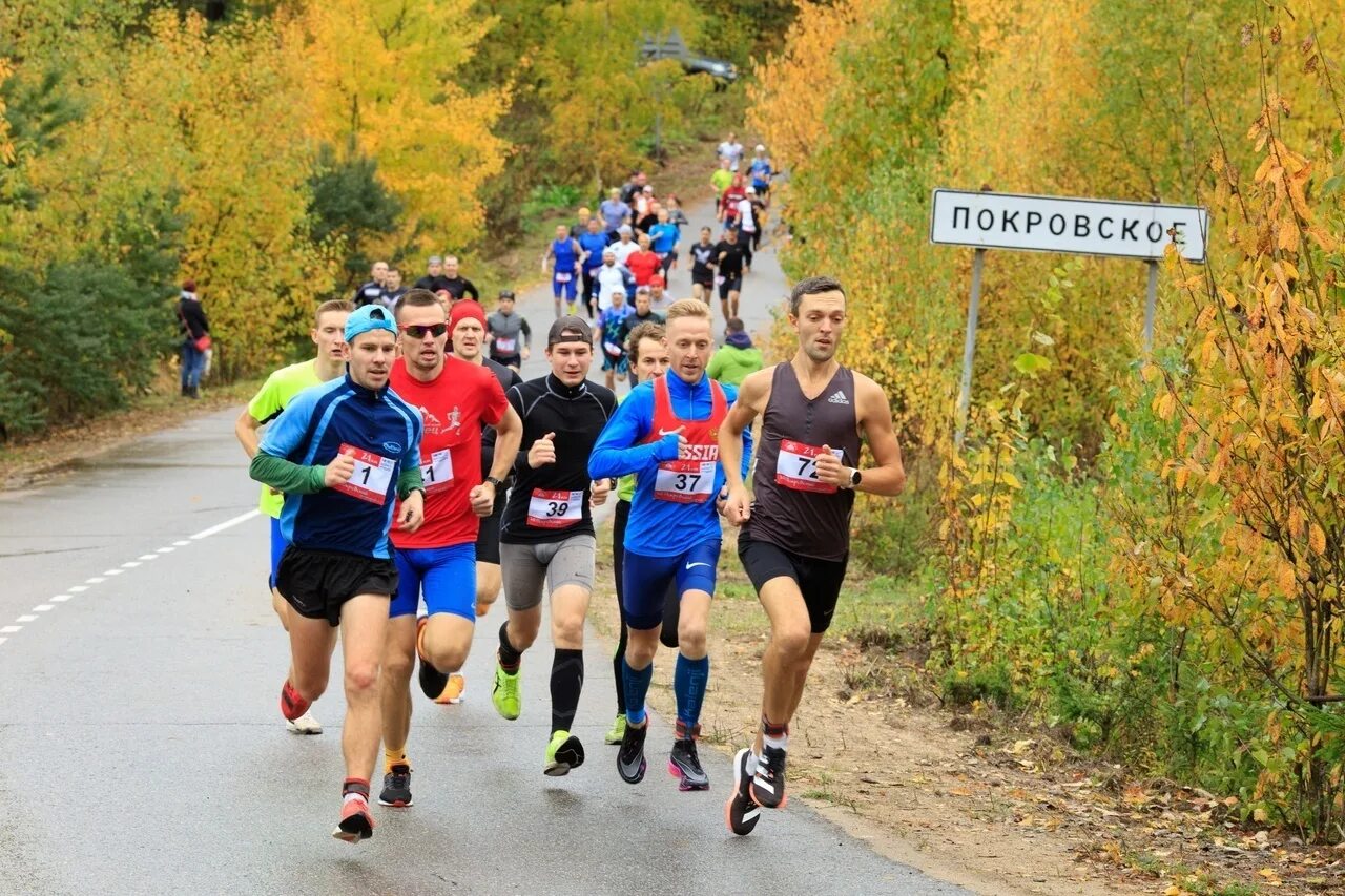 Покровский полумарафон 2024 вологда фото где Покровским полумарафоном завершился беговой кубок ВологдаМарафон - Новости - Гла