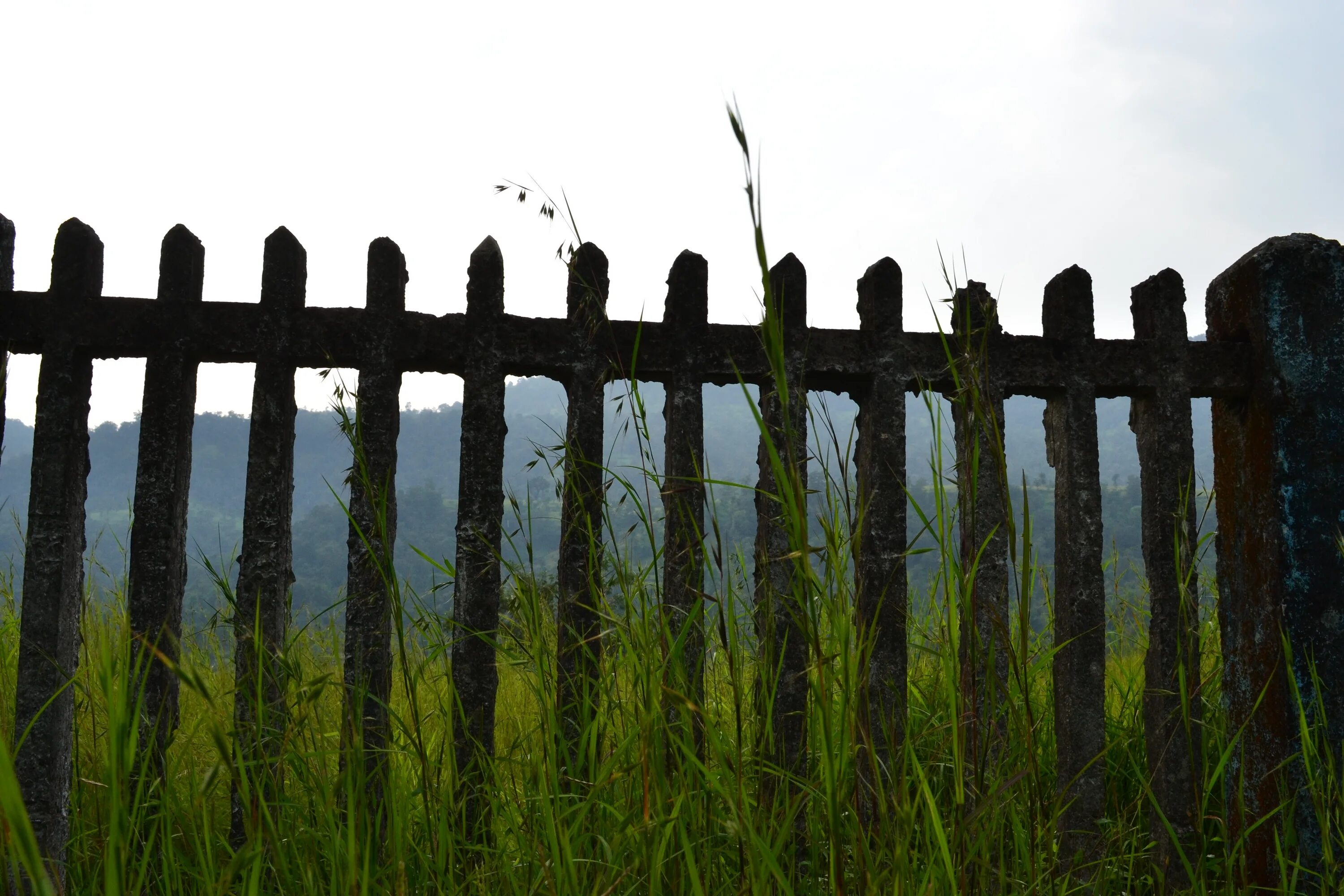 Покровский забор фото Free Images : fence, line, grass family, outdoor structure, home fencing 4608x30