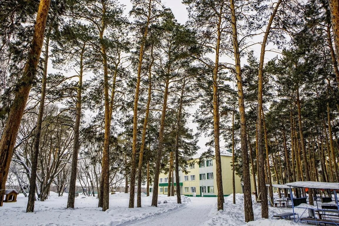 Покрышкино база отдыха фото База отдыха Имени А. И. Покрышкина село Чернолучье Омская область: цены на прожи