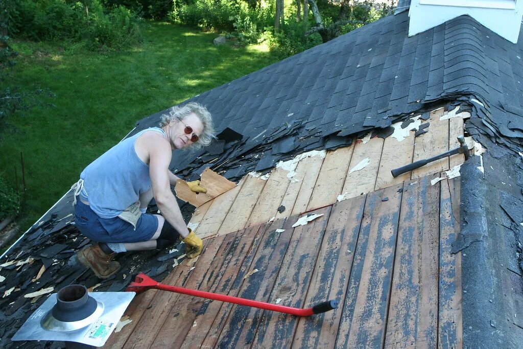 Покрыть крышу фото Paper Most of the old roof had not had any felt put down -. Flickr