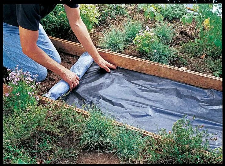 Покрытие на даче своими руками How to Install a Flagstone Path Garten landschaftsbau, Garten, Gartenweg