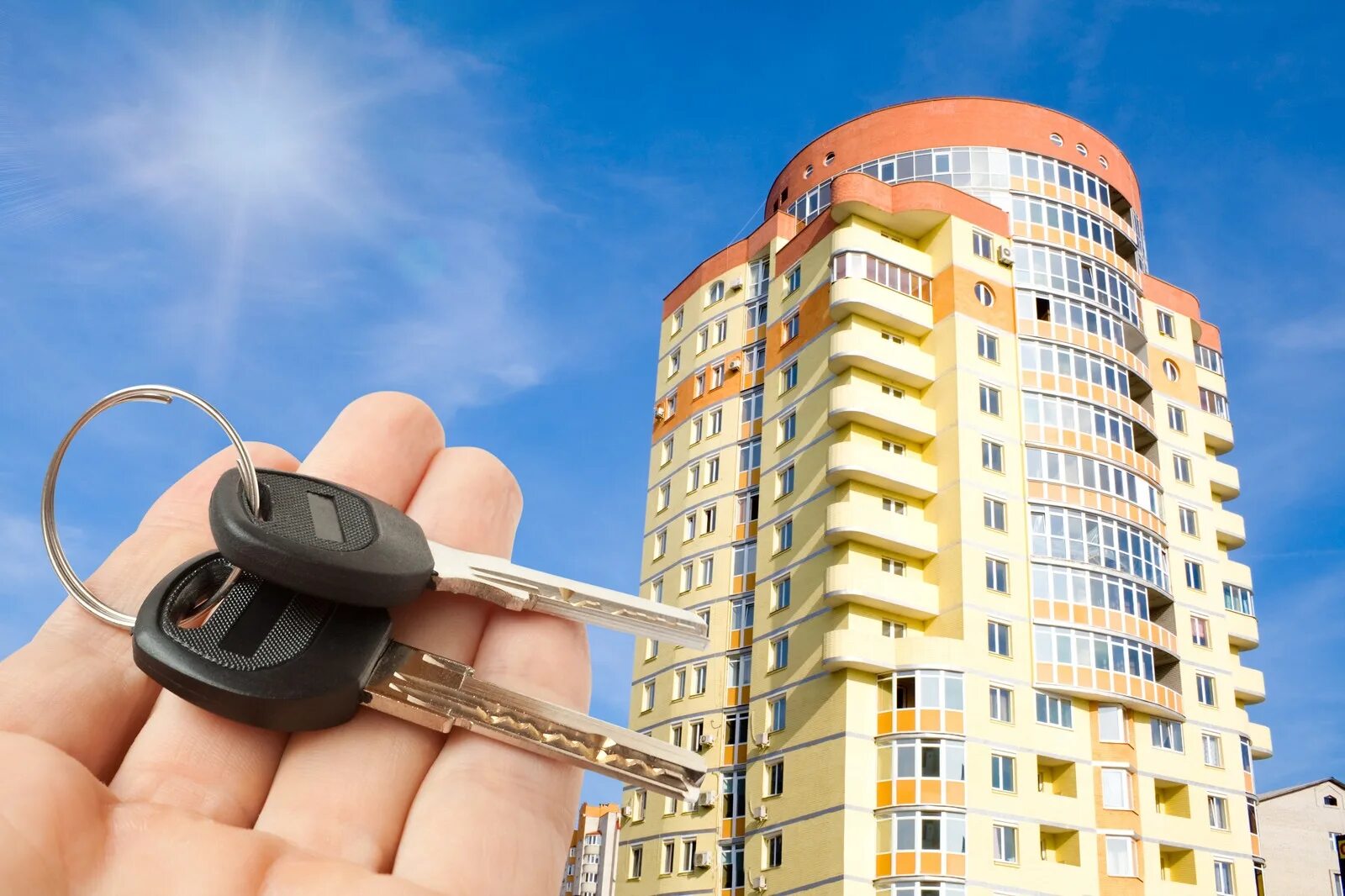 Покупка квартиры у застройщика оформление Правительство России утвердило правила обеспечением бесплатным жильем отдельных 