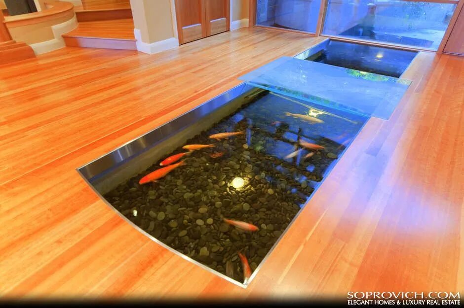 Пол воды фото Indoor/outdoor koi pond Outdoor fish ponds, Indoor pond, Pond design