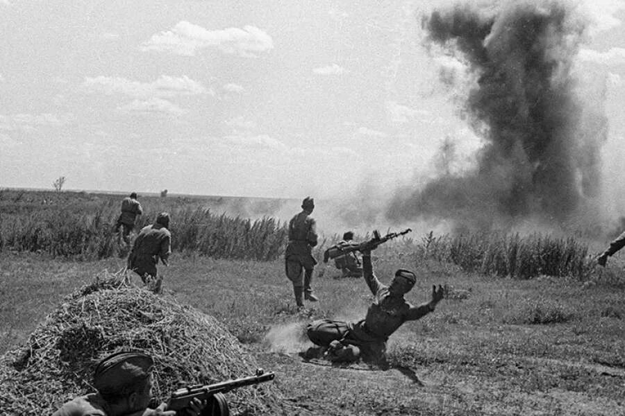 Поле боя вов фото Фотохроника Сталинградской битвы Фотогалереи Известия