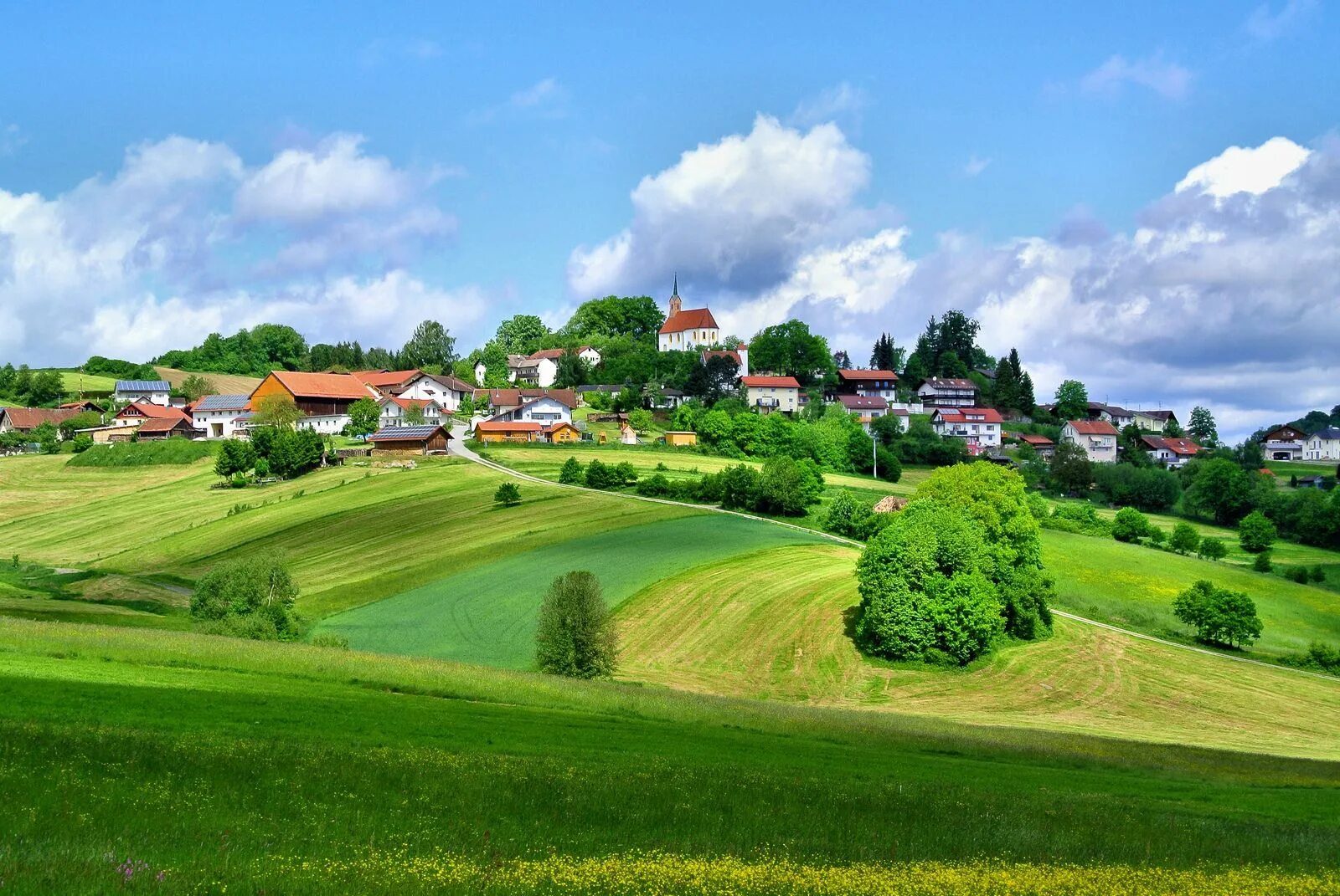 Поле деревня фото Kirchberg im Bayerischen Wald - Village Kirchberg in the Bavarian Wood Summer la