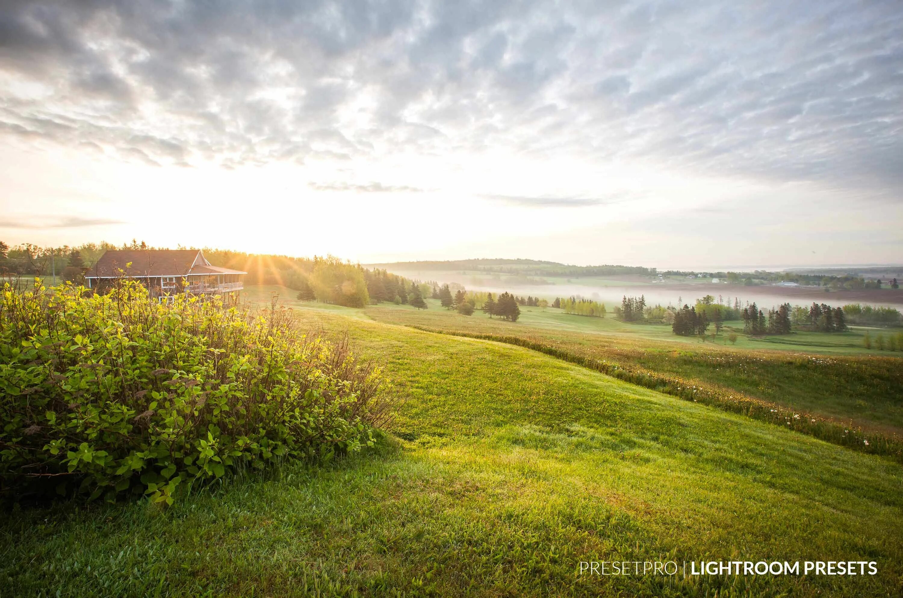 Поле деревня фото Capture the Vibrance of a Sunrise