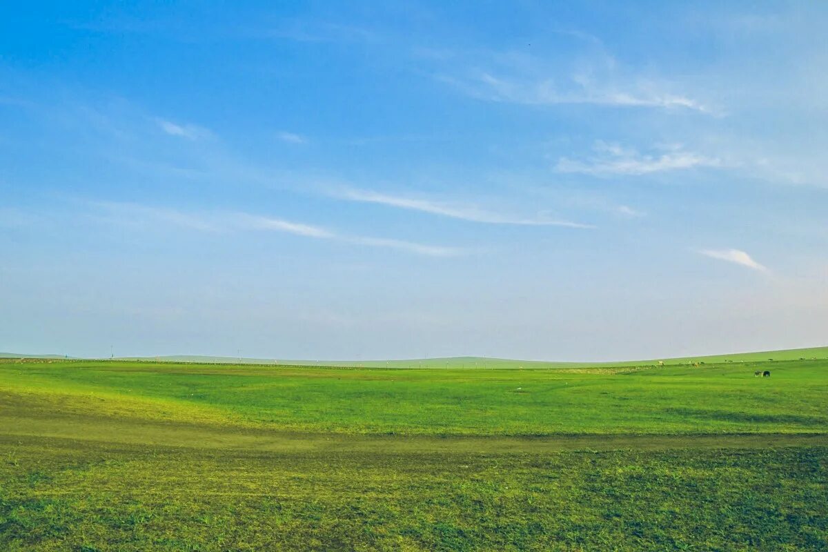 Поле фото для фотошопа Free Images : landscape, nature, horizon, marsh, cloud, sky, field, meadow, prai