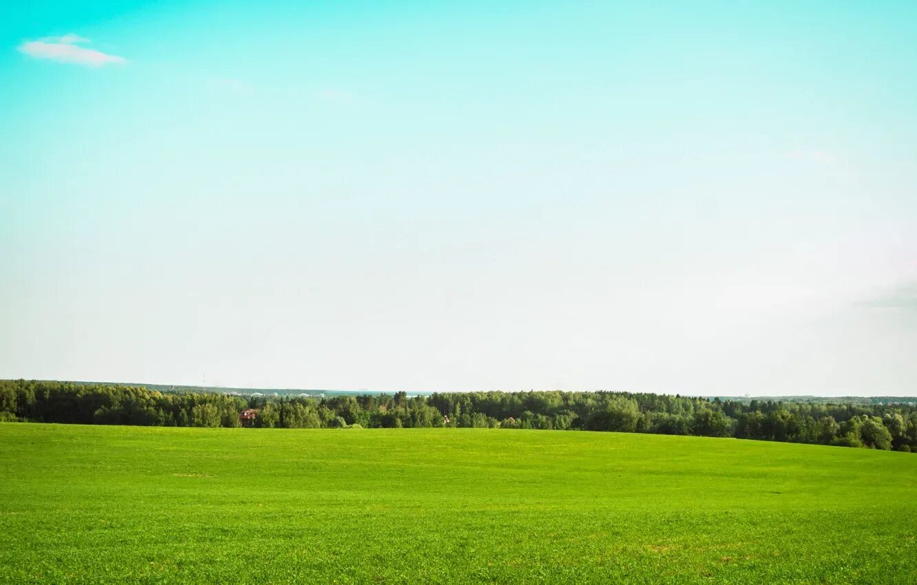 Поле фото для фотошопа Wallpaper field, summer, the sky, the sun, trees, landscape, nature, horizon for