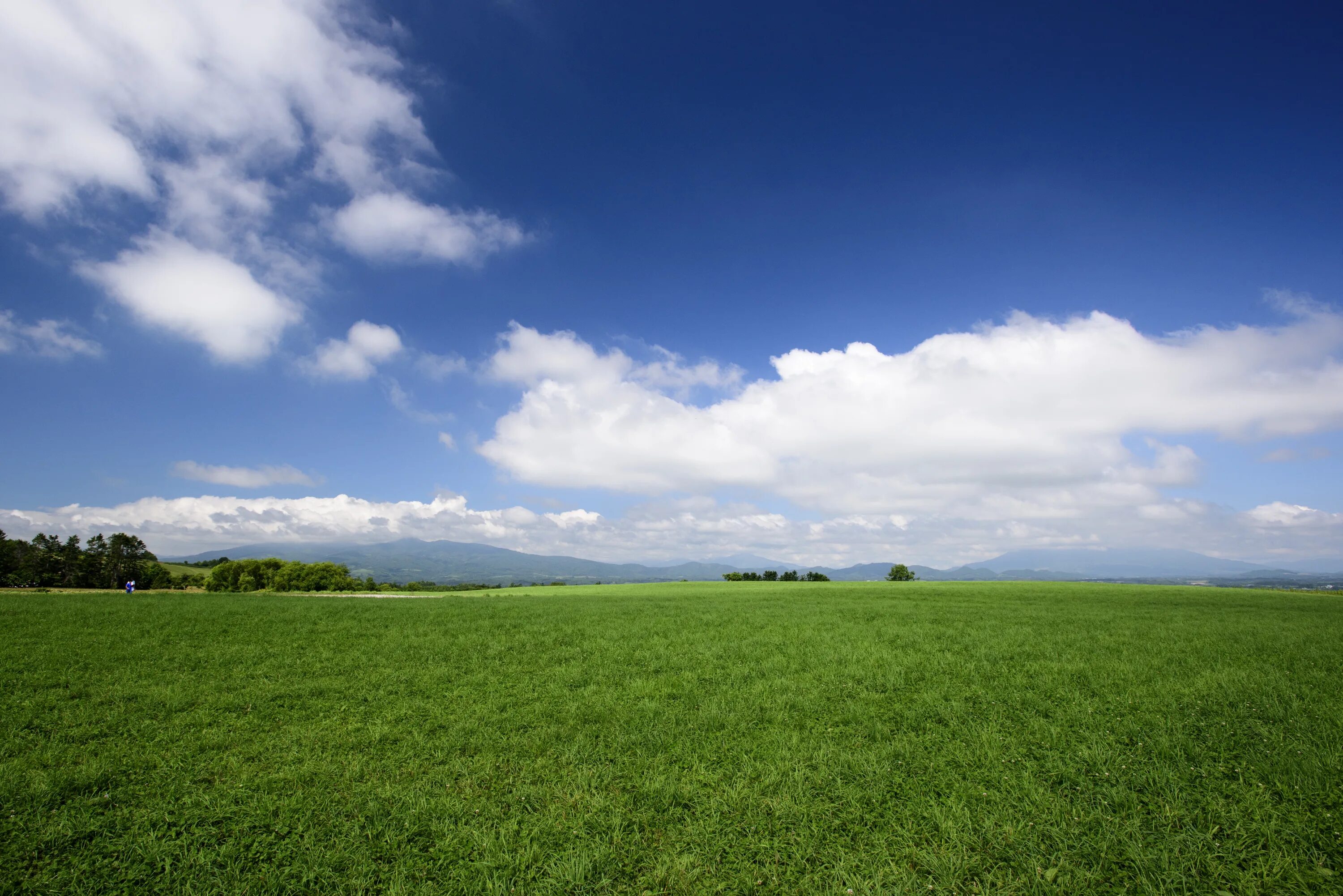 Поле фото для фотошопа Blue Sky Green Grass free image download