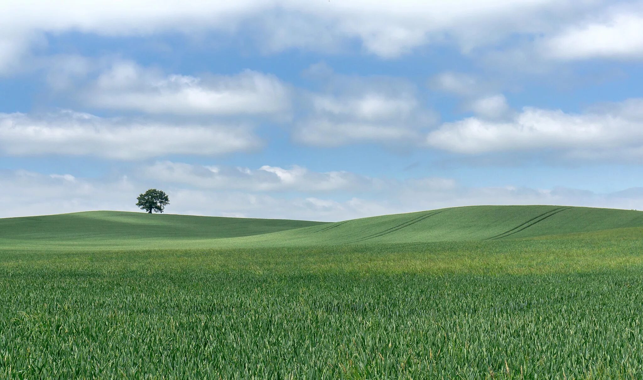 Поле фото для фотошопа Download wallpaper field, the sky, clouds, tree, hills, horizon, section landsca