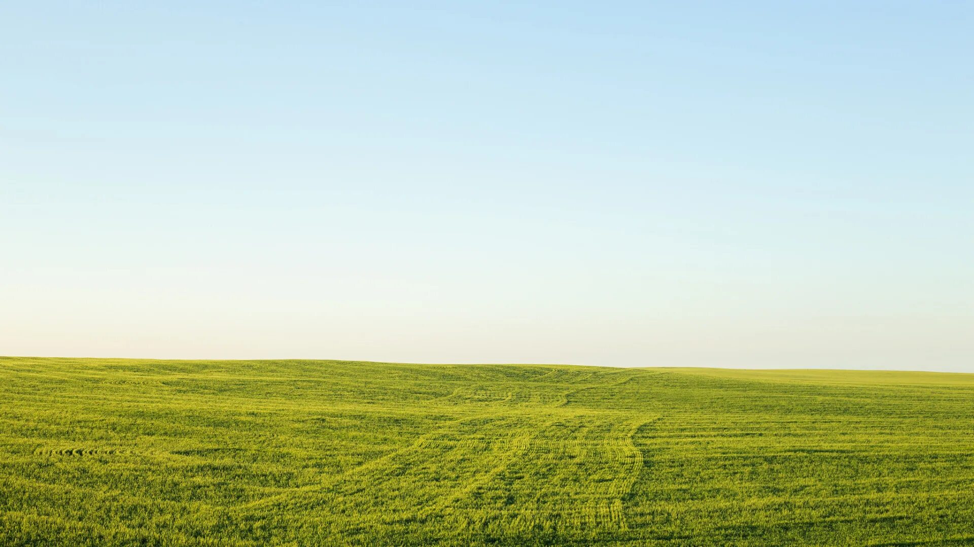 Поле фото для фотошопа Download wallpaper field, the sky, grass, horizon, green, section nature in reso