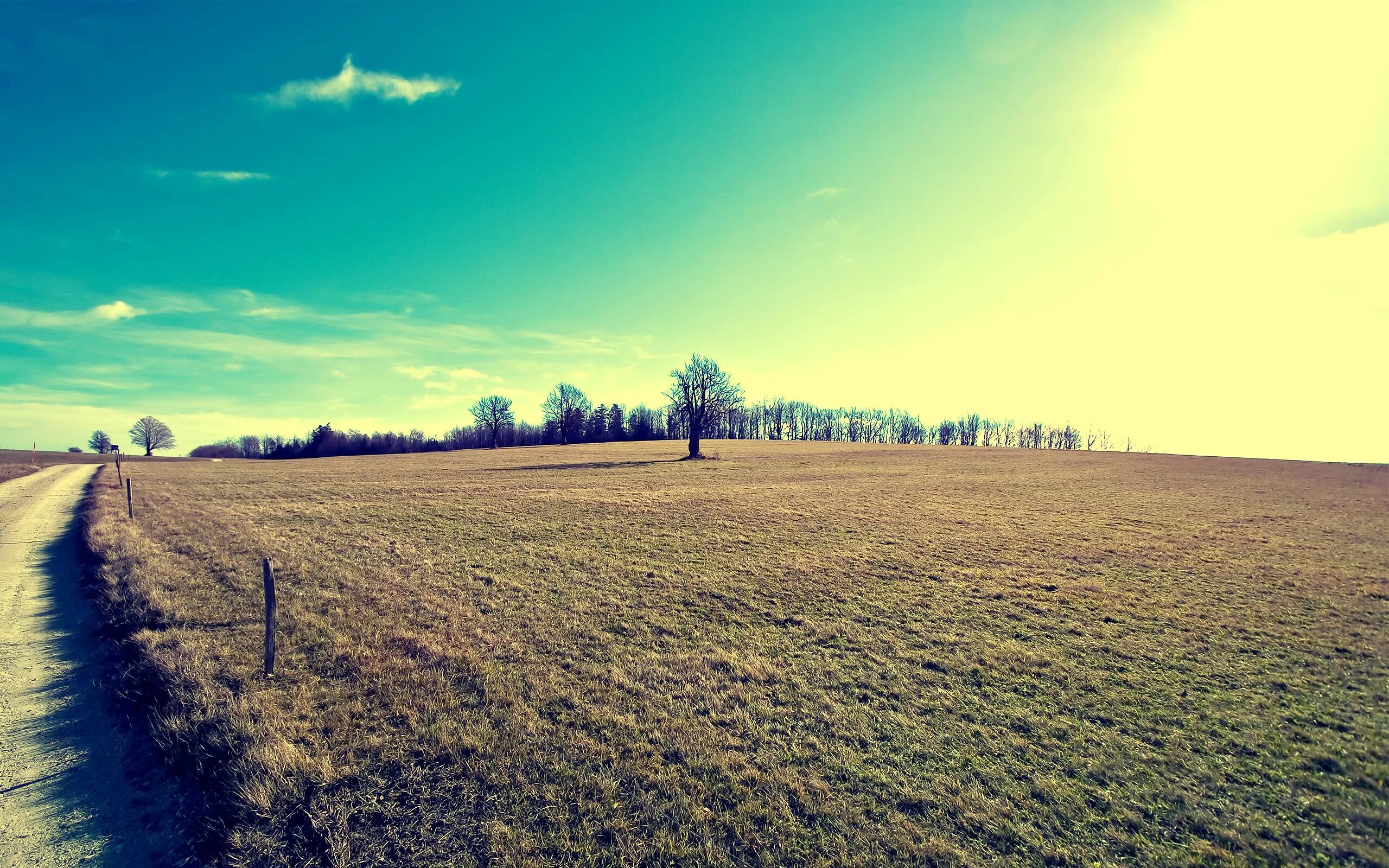 Поле фото для фотошопа Wallpaper : sunlight, trees, landscape, sunset, hill, nature, sky, field, sunris