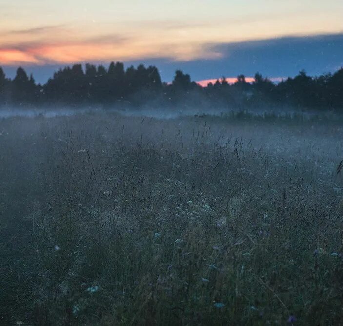 Поле фото эстетика Пин от пользователя rākṣasaḥ на доске nature Природа, Галереи