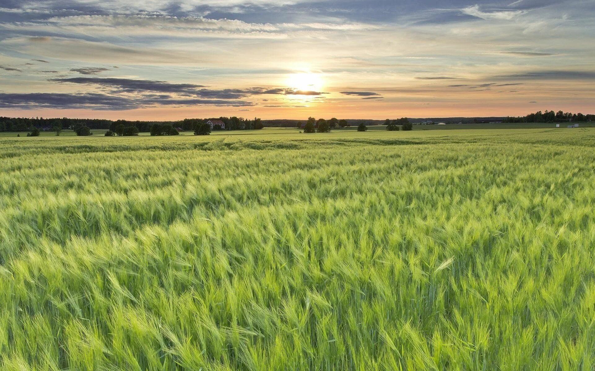 Поле фото hd Выездные патриотические концерты автоклуба в с. Павловка 2023, Нуримановский рай