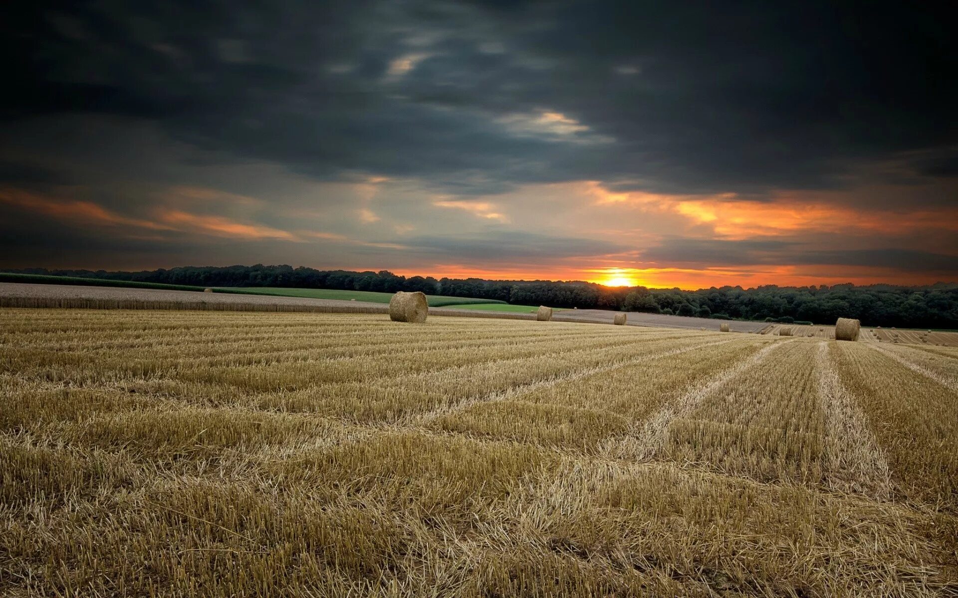 Поле фото картинки nature fields_remove_field_with_hay_110967 AgroTimes.by