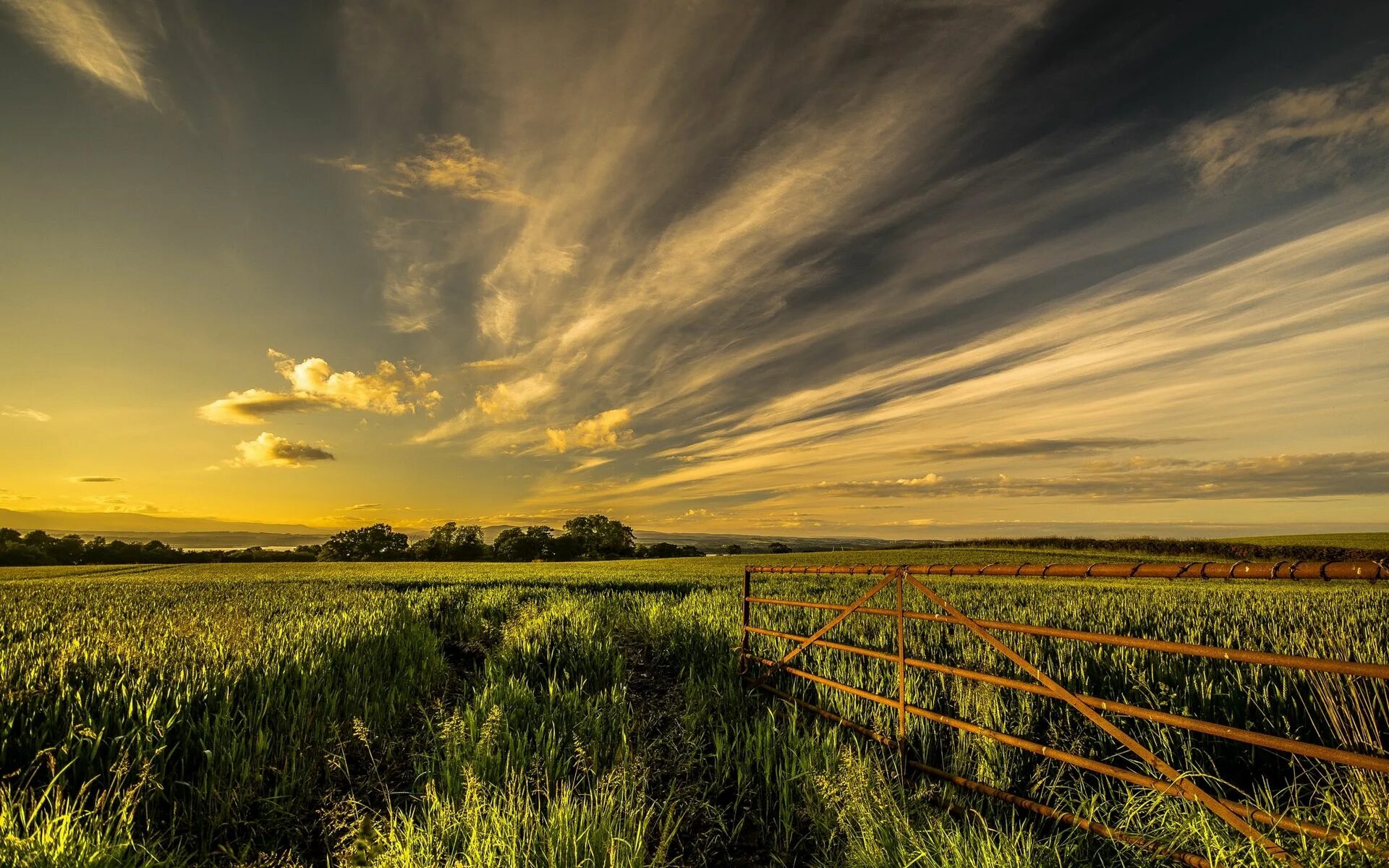 Поле фото на телефон Download wallpaper 1920x1200 field, grass, fence, sky, summer widescreen 16:10 h