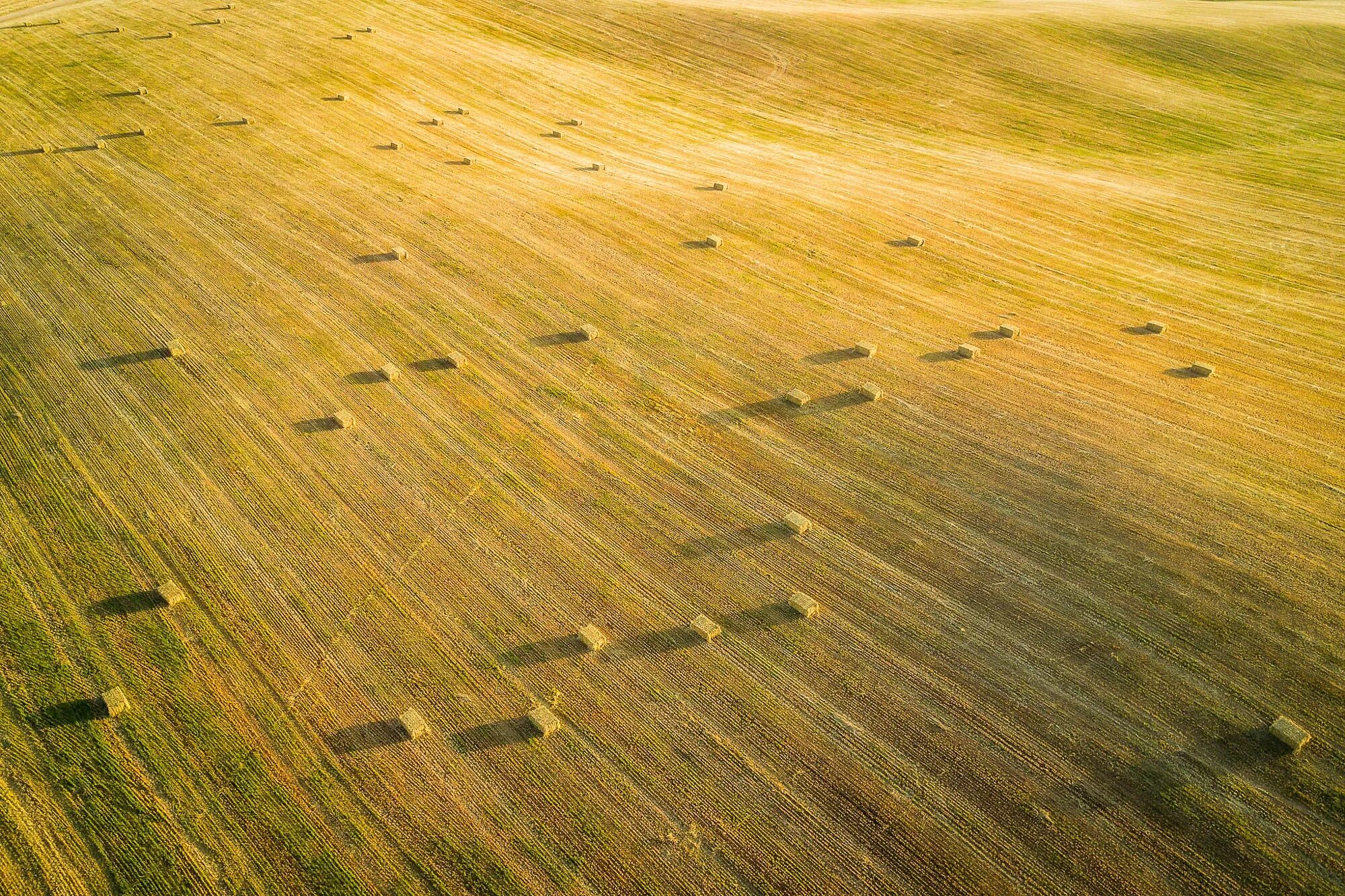 Поле фото сверху Wallpaper : yellow, field, landscape, sunlight, shadow, haystacks, aerial view 2