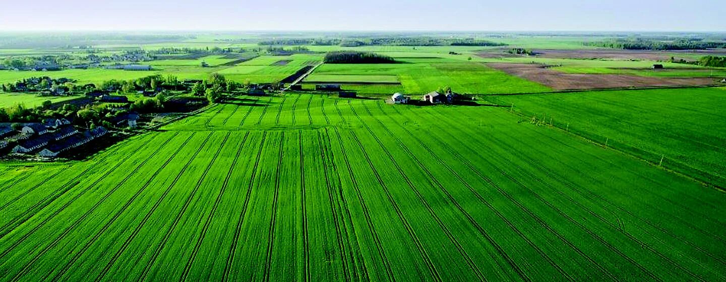 Поле фото сверху Добре дошли Corteva Agriscience