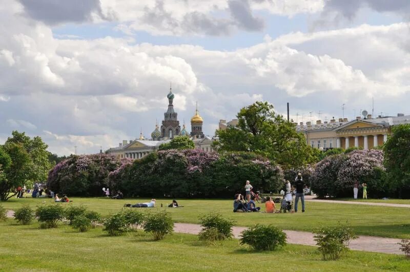 Поле фото в санкт В 20-е годы здесь разбили... - Санкт-Петербург, Россия - Фото 21 - ФотоТерра