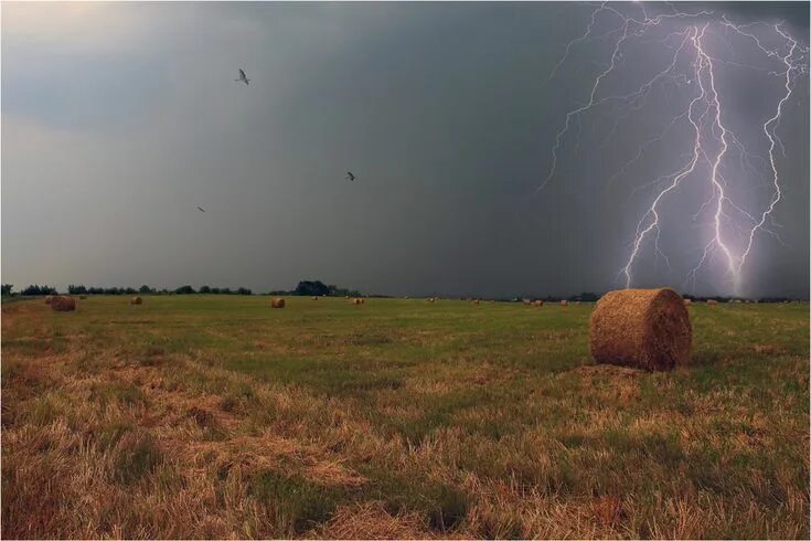 Поле гроза фото Малахит, Грозы