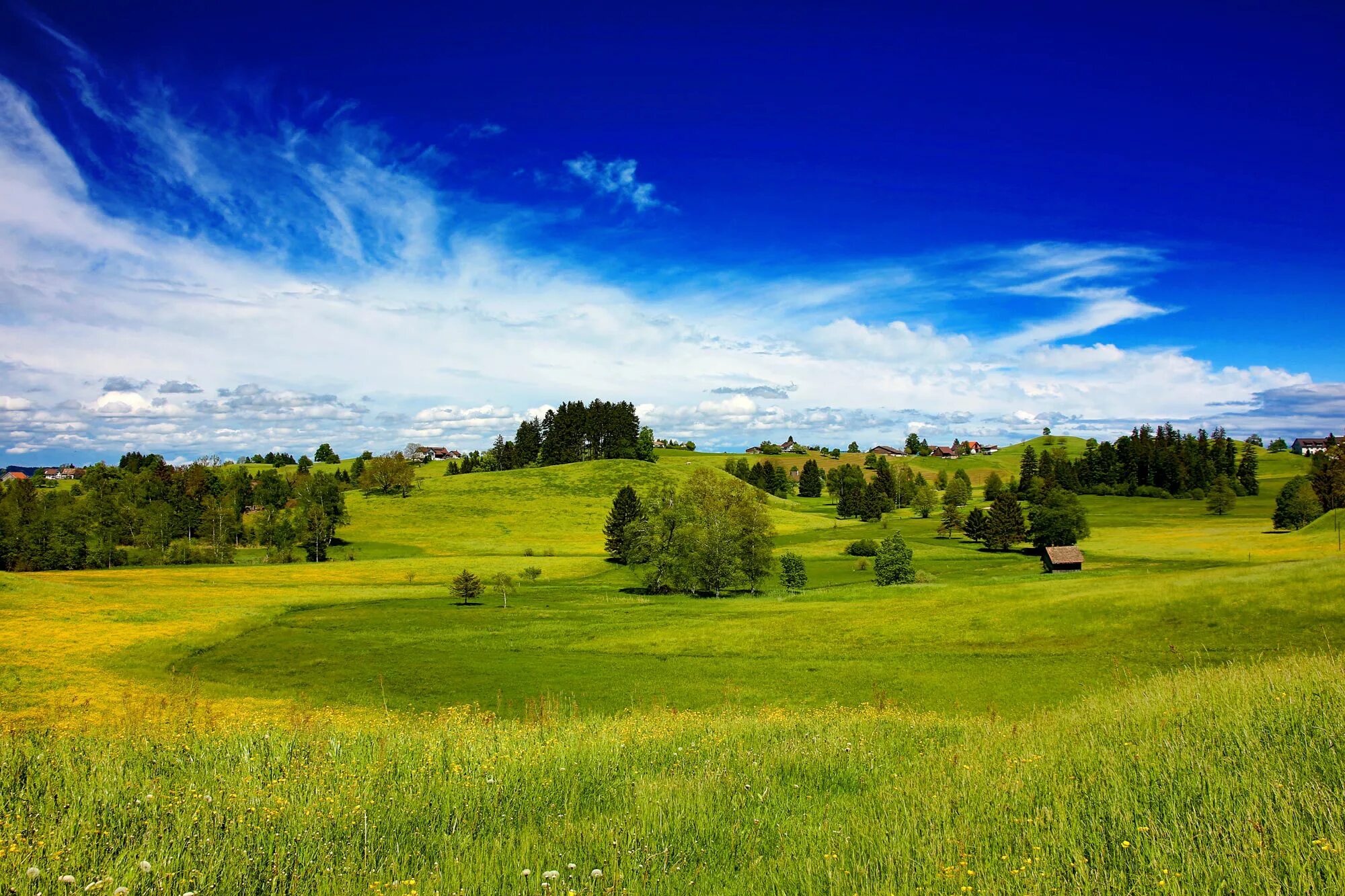 The Green Path