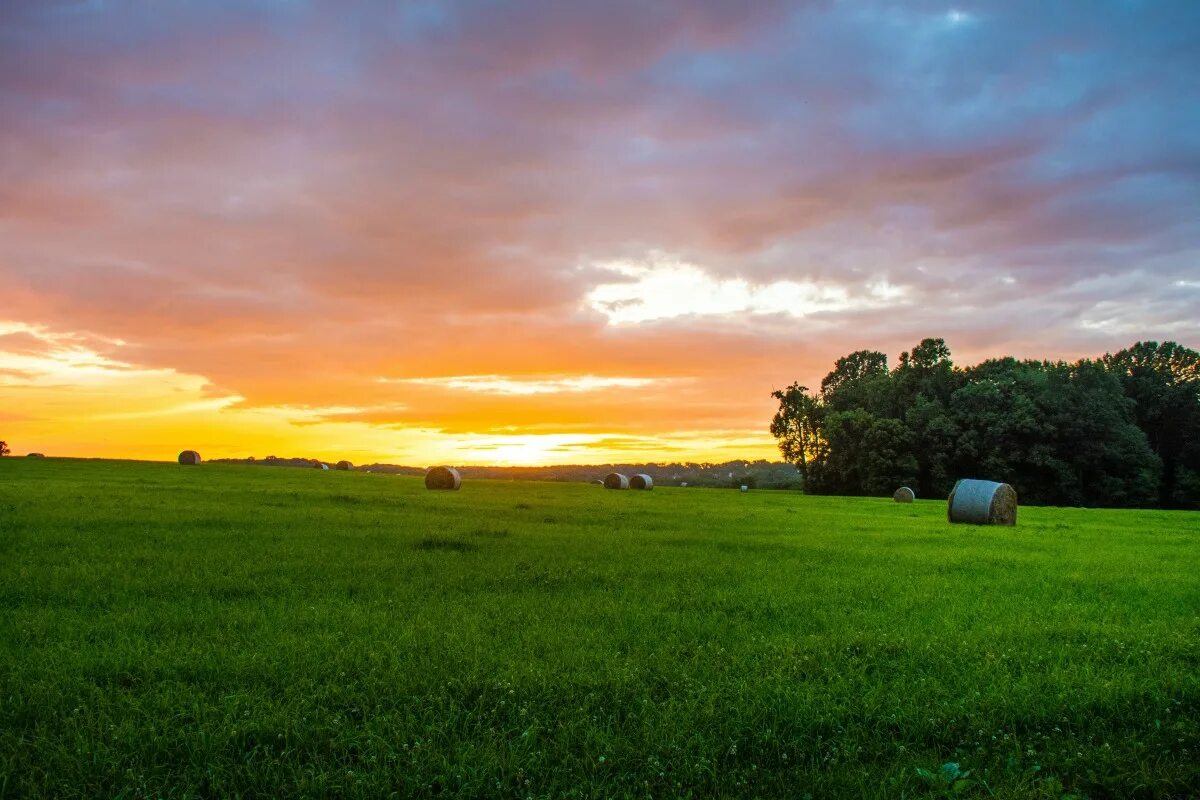 Поле любительское фото Free Images : landscape, tree, nature, horizon, cloud, sky, sun, sunrise, sunset