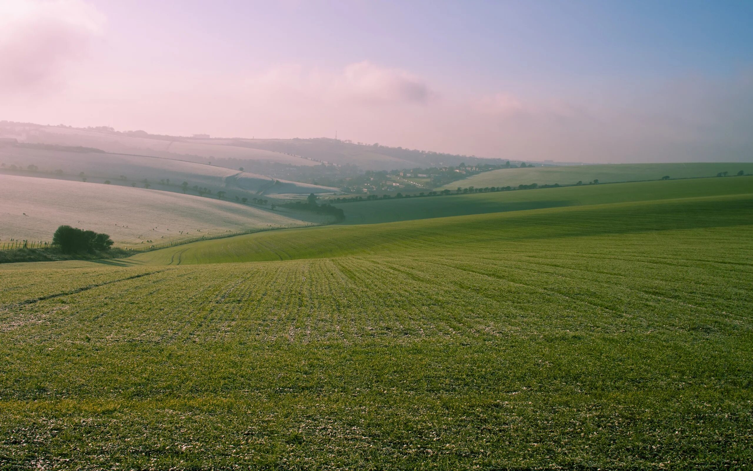 Поле любительское фото Wallpaper : field, sky, grass, nature, landscape, summer 2560x1600 - wallup - 10