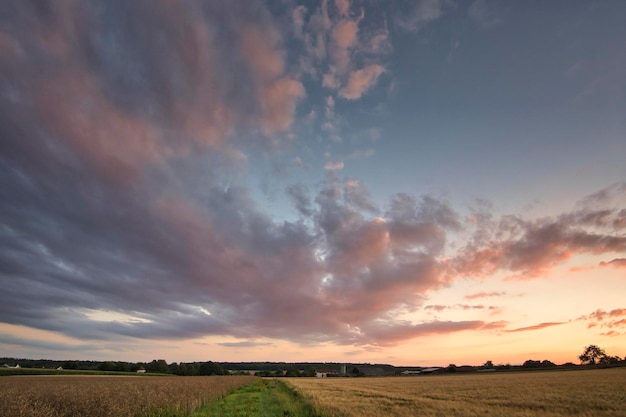 Поле облака фото Premium Photo Summer sunset sky with amazing clouds.