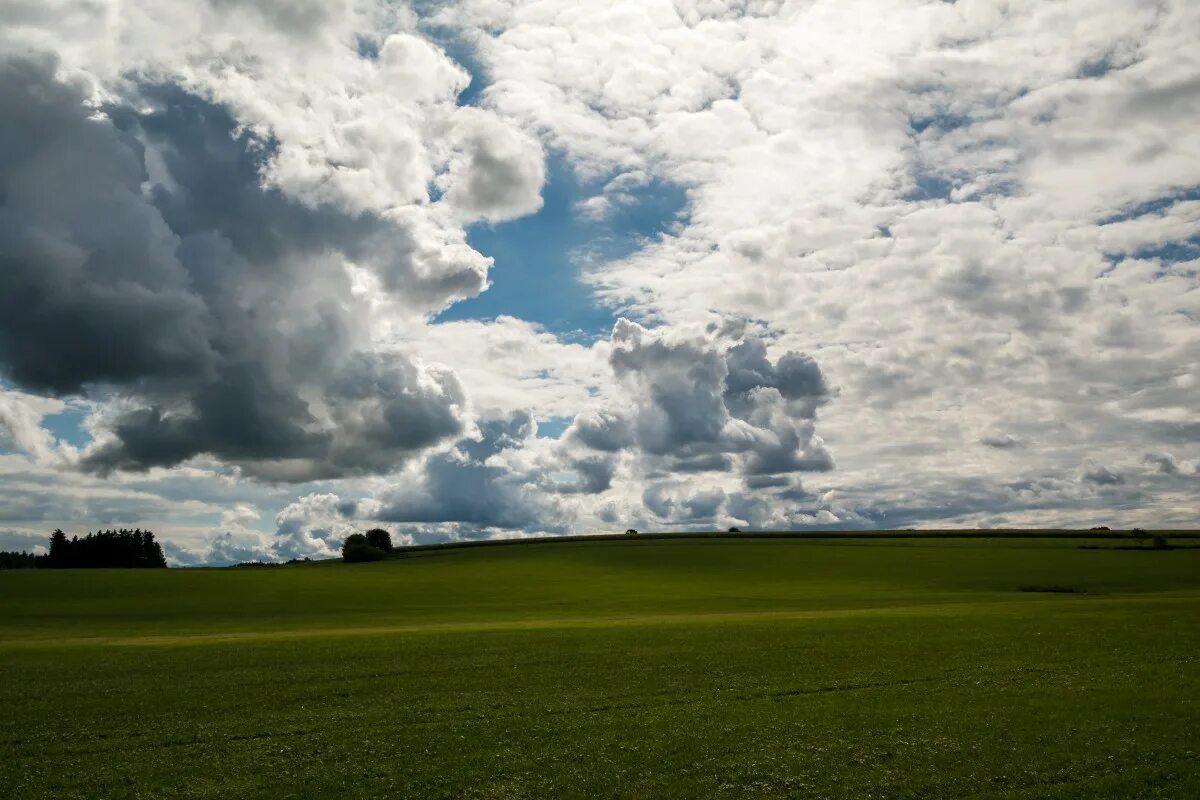 Поле облака фото Free Images : landscape, nature, grass, horizon, cloud, sky, field, meadow, prai