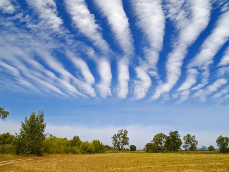 Поле облака фото Striped Clouds Over the Cleaned Wheaten Field Stock Photo - Image of blue, natur