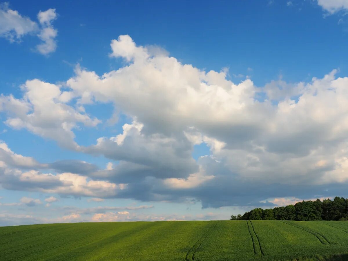 Поле облака фото Free Images : landscape, tree, nature, horizon, cloud, sky, field, meadow, prair