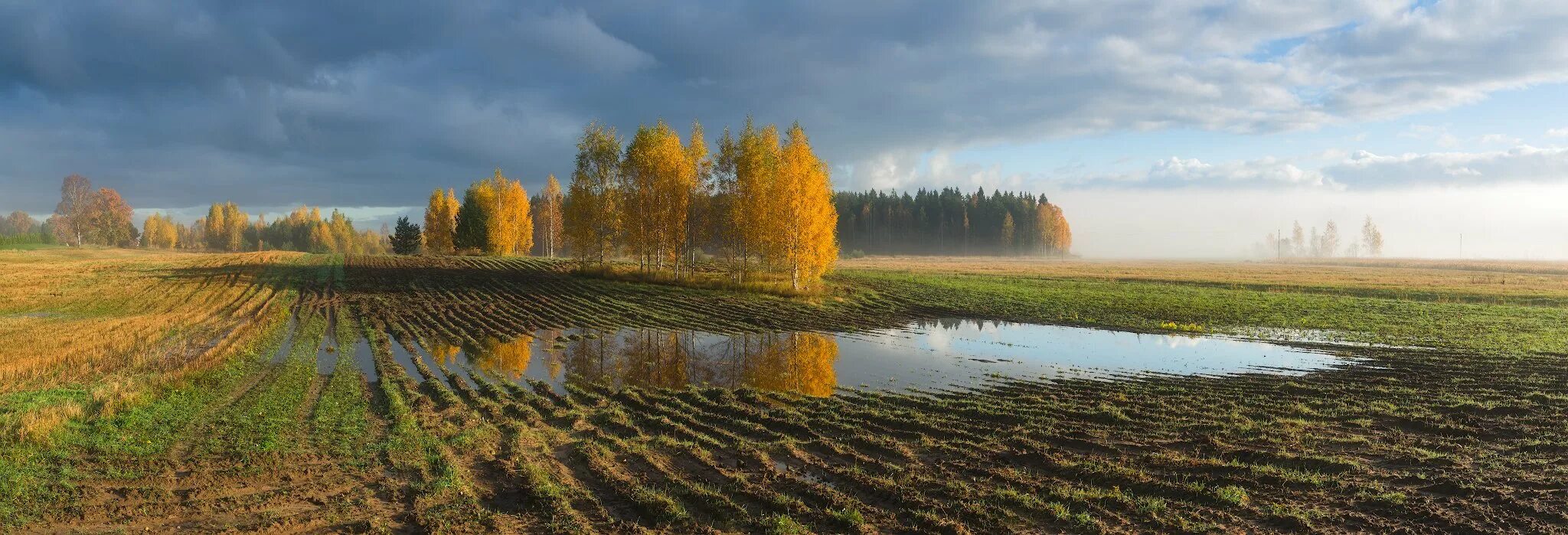 Поле осенью фото Утро в осеннем поле. Фотограф Алексей Мельситов