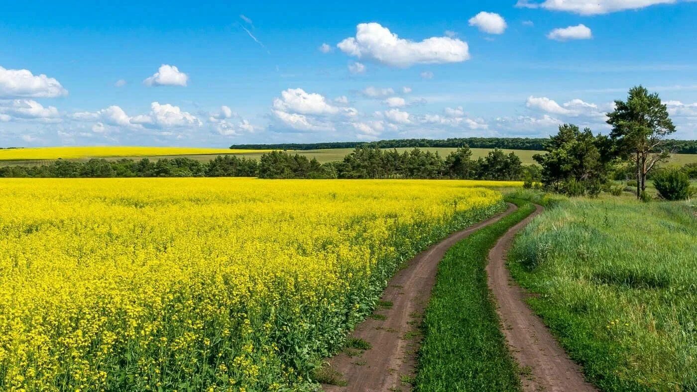 Поле пейзаж фото Встреча "Народный календарь" 2023, Губкинский район - дата и место проведения, п