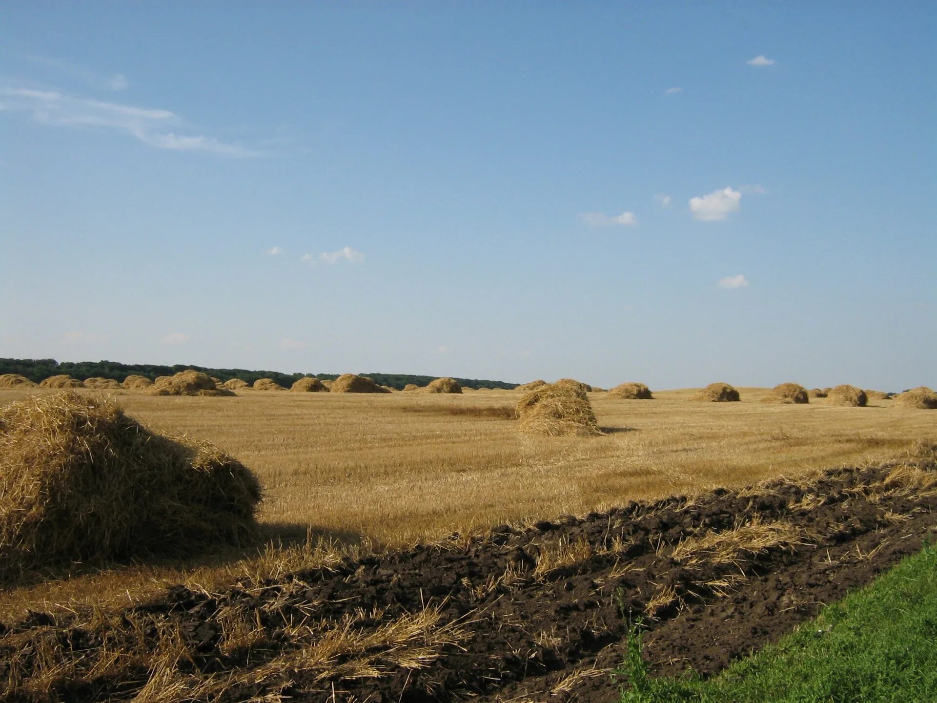 Поле после уборки урожая фото Field,straw,crop,rick,shock - free image from needpix.com