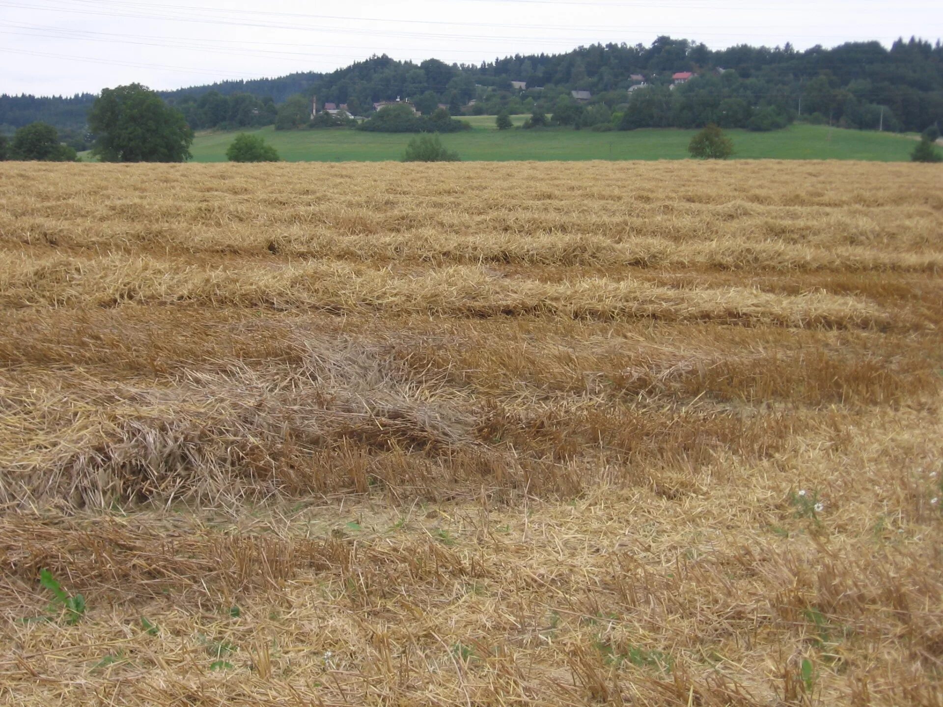 Поле после уборки урожая фото Download free photo of Field,straw,field after the harvest,free pictures, free p