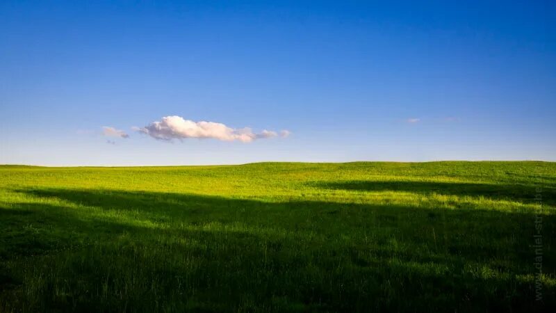 Поле реальное фото обои : Дерево, Баумрейхэ, Местный совет, пейзаж, солнце, Восход, небо, Himmel, W