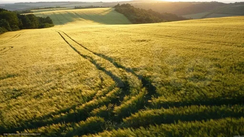 Поле реальное фото Участок 2.5 га (промназначения), Купить земельный участок Шали, Пестречинский ра