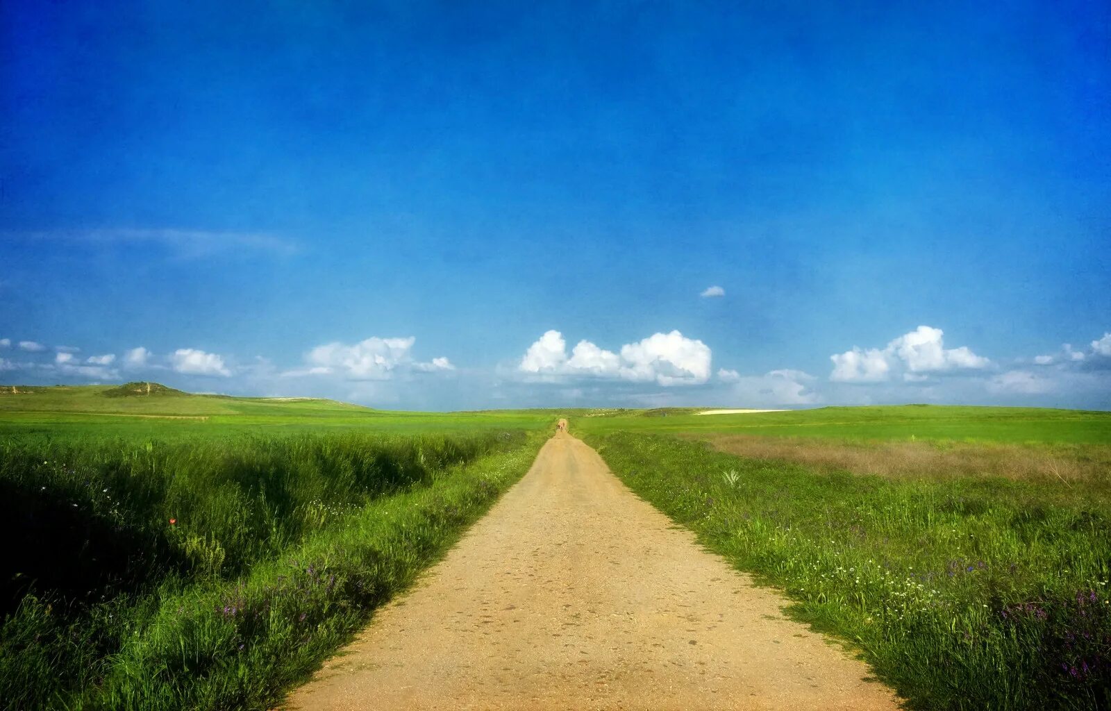 Поле с дорогой фото Wallpaper : sunlight, landscape, hill, nature, sky, field, clouds, morning, Sun,