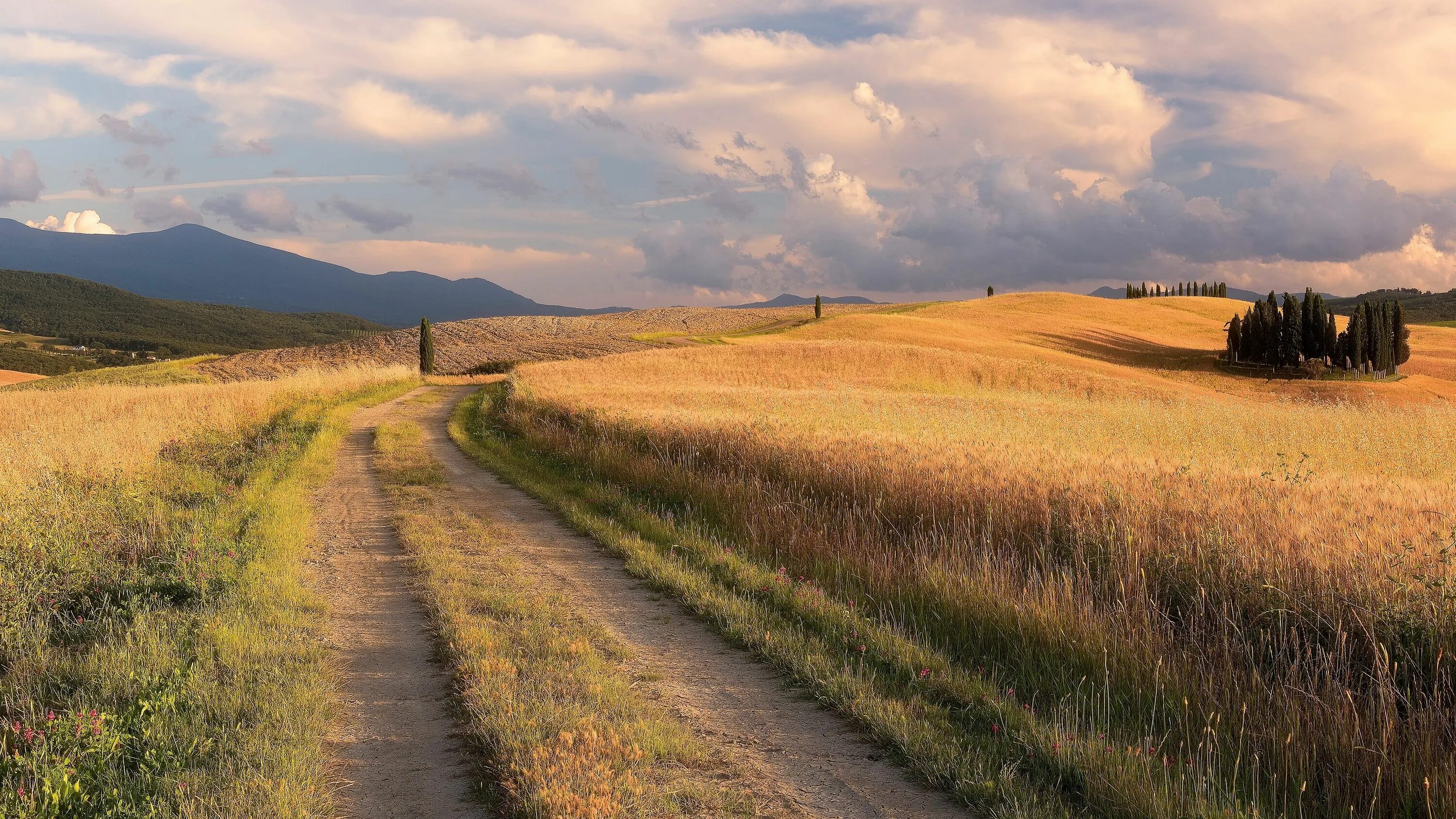 Поле с дорогой фото #road #field #summer #grass #clouds #trees #mountains the way #hills #dal #Italy