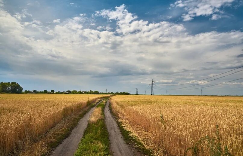 Поле с дорогой фото Лето. @ Ты в деревне у бабушки. @ Катаешься вместе с друзьями на велосипеде. .. 