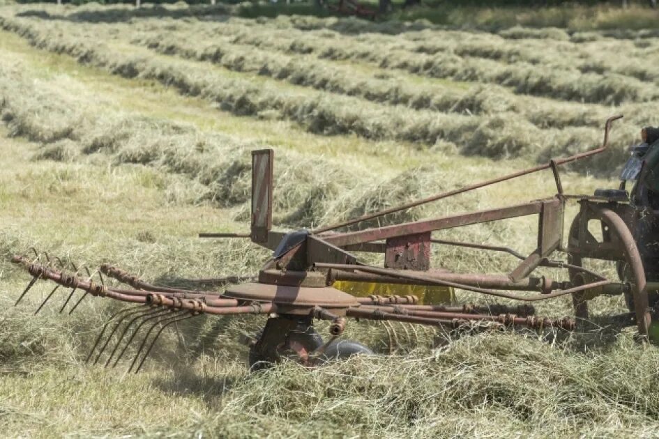 Поле самоделки Сельхозпроизводство в Белоруссии снизилось