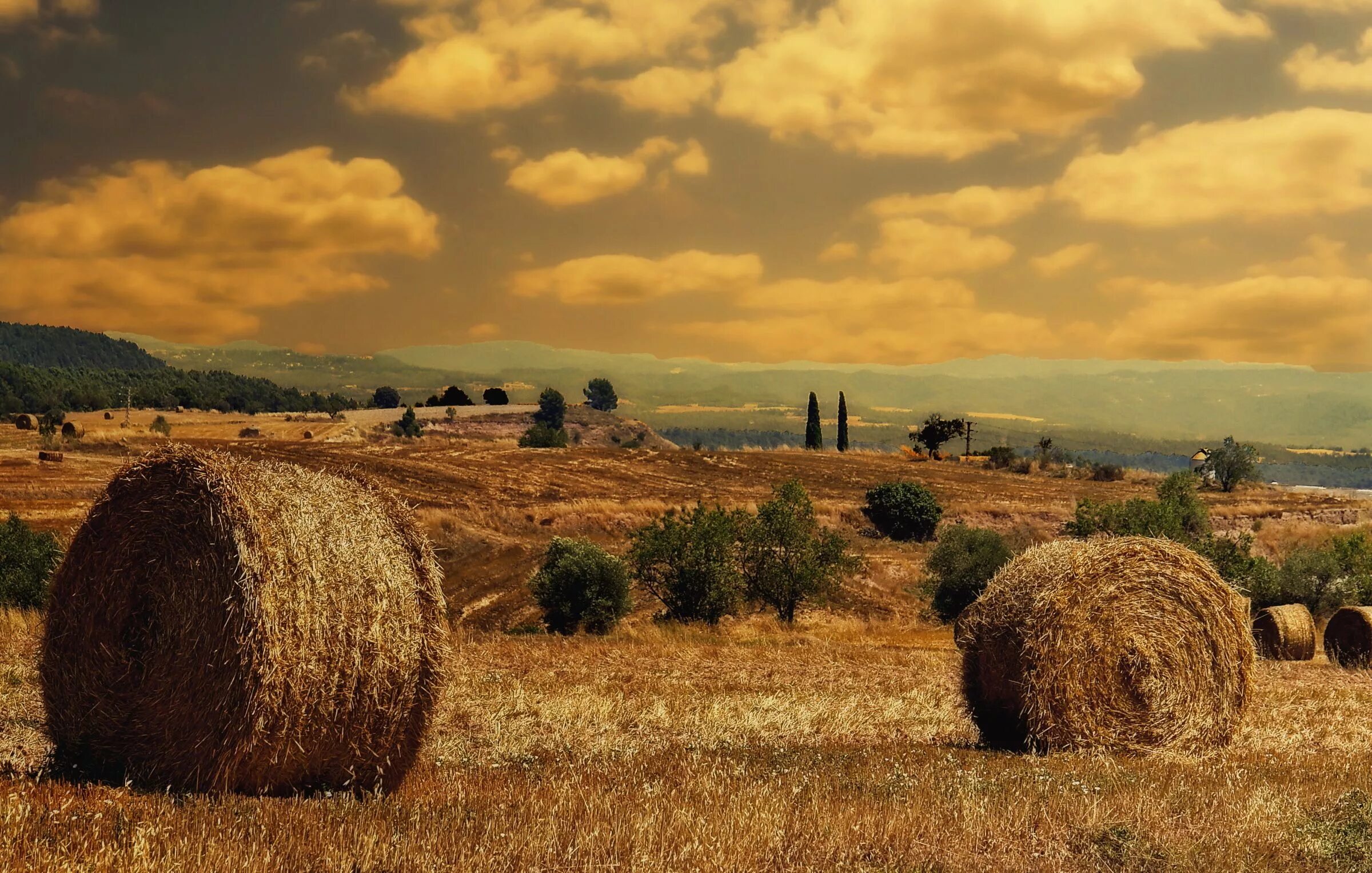 Поле со стогами сена фото Скачать обои photographer, сенокос, луг, стог, сено, Mariluz Rodriguez, рулон, р