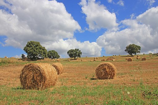 Поле со стогами сена фото Tuscany Heaven Vacations - Free photo on Pixabay Draw on photos, Nature photos, 