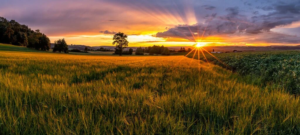 Поле солнце фото After the rain ⛈ comes the sun ☀ PRESS L Wonderful sunset af. Flickr