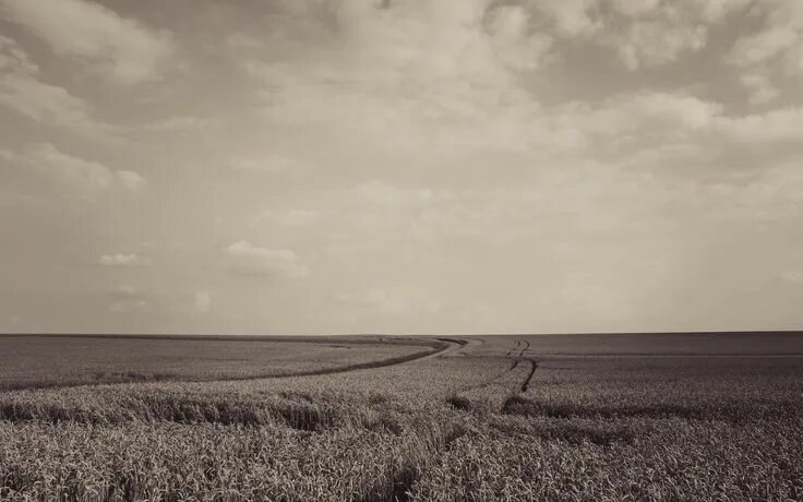 Поле старое фото #sky, #sepia, #landscape, #field, wallpaper Landscape, Wallpaper, Sky