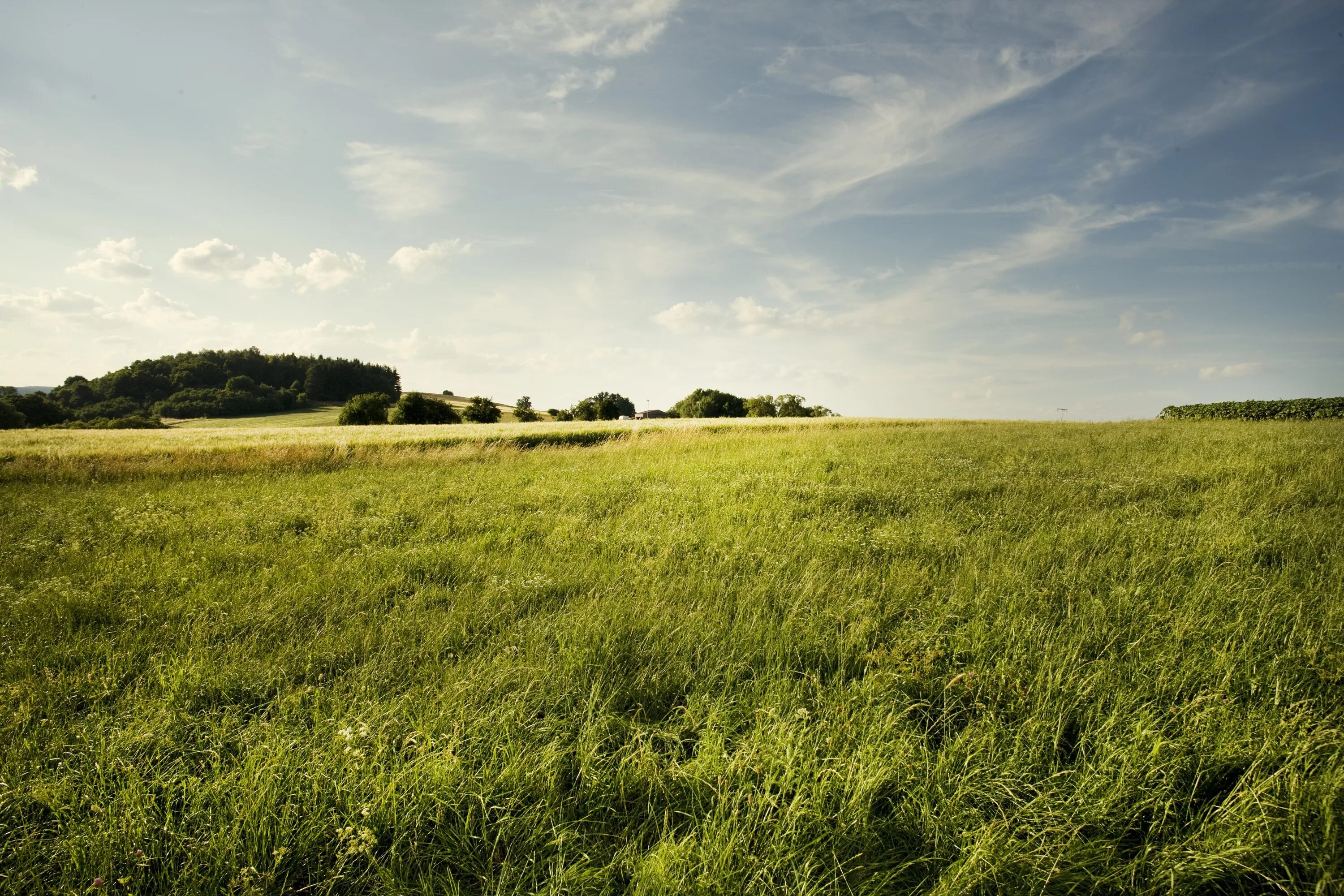 Farm Backdrop Images - Browse 175,602 Stock Photos, Vectors, and Video Adobe Sto