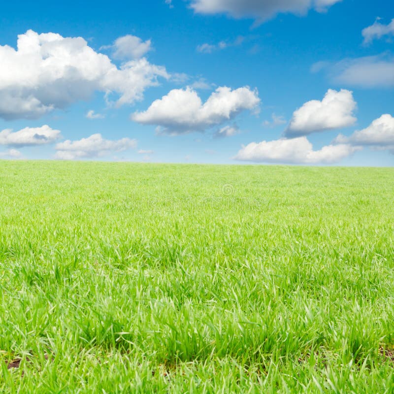 Поле стоковое фото Spring Fields and Sky Background - Beautiful Nature Landscape Stock Photo - Imag